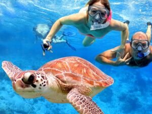 Blue lagoon Bali_0007_bali-padang-bai-blue-lagoon-snorkeling-tour_25edc5f937f80b163314352eee9166059a5f0a9b