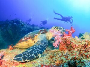 Blue lagoon Bali_0012_145